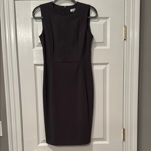 Calvin Klein Work Dress